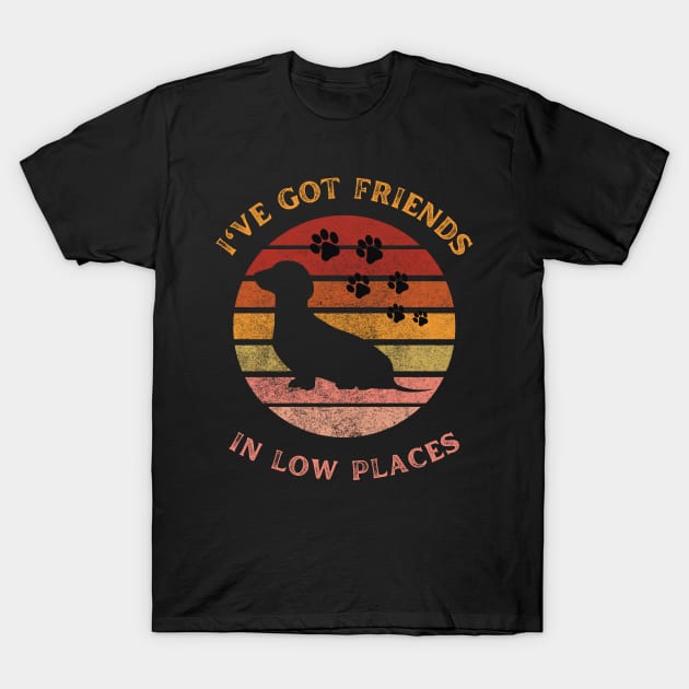 i've got friends in low places T-Shirt by Adam4you